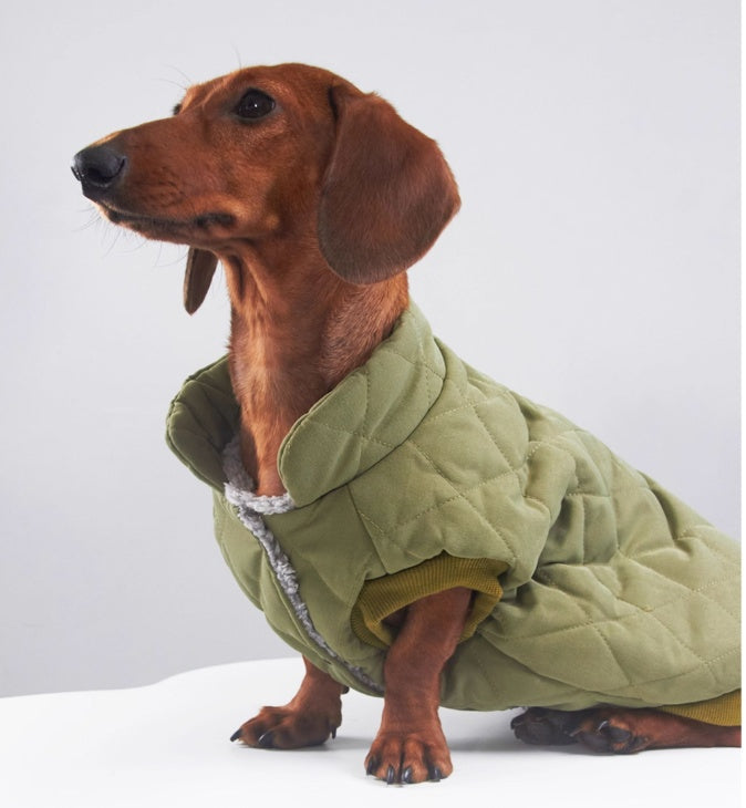 HKM-490643 Winter Diamond Lattice Cotton-Padded Clothes for Puppies - Corgi Size Options Available