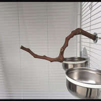HKM-491411 Natural Vine Perch Stand Pole for Parrots and Birds, Unique Grape Wood Habitat