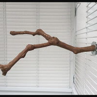 HKM-491411 Natural Vine Perch Stand Pole for Parrots and Birds, Unique Grape Wood Habitat