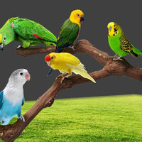 HKM-491411 Natural Vine Perch Stand Pole for Parrots and Birds, Unique Grape Wood Habitat