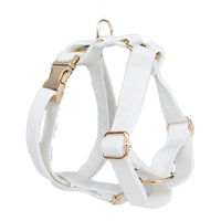HKM-491667 Soft Velvet Dog Collar with Adjustable Fit and Accessories Included