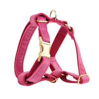 HKM-491667 Soft Velvet Dog Collar with Adjustable Fit and Accessories Included