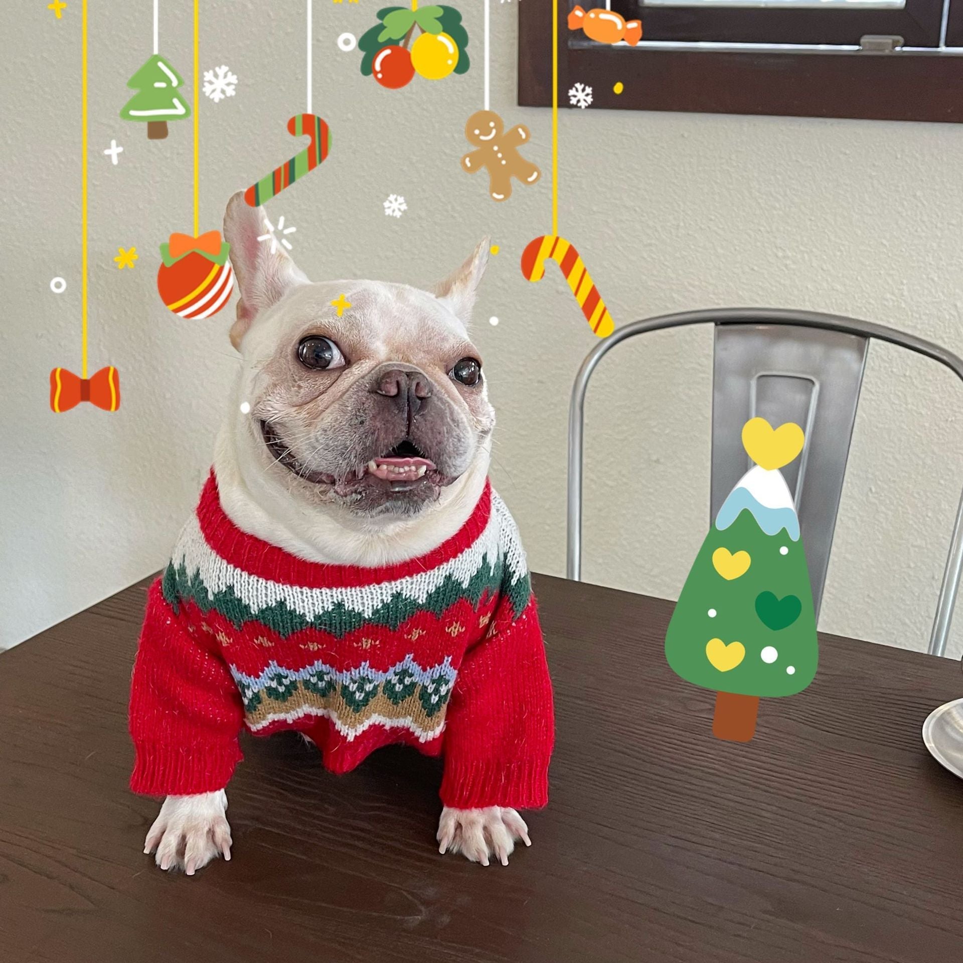 HKM-491987 Cozy Red Wool Sweater for Dogs and Cats - Perfect for Holiday Festivities