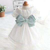 HKM-493075 Princess Mint Butterfly Skirt for Cats - Summer Cotton Dress in Various Sizes