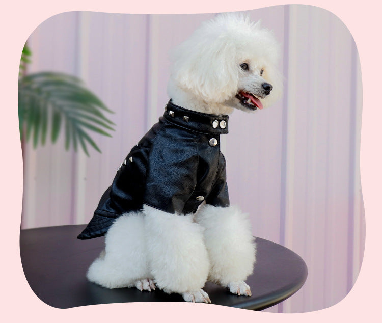 HKM-494227 Stylish Black Leather Dog Coat for Autumn and Winter, Suitable for Teddy and Chihuahua