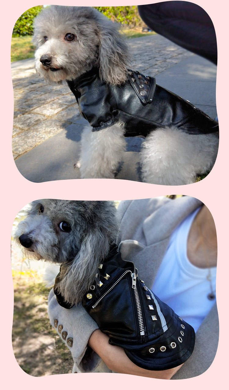 HKM-494227 Stylish Black Leather Dog Coat for Autumn and Winter, Suitable for Teddy and Chihuahua