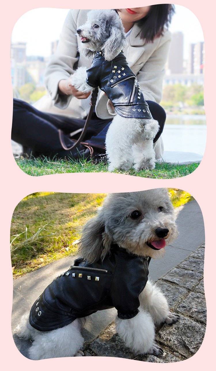 HKM-494227 Stylish Black Leather Dog Coat for Autumn and Winter, Suitable for Teddy and Chihuahua