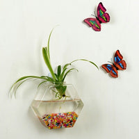 HKM-495443 Wall-Mounted Geometric Fish Tank in High Borosilicate Glass with Polished Finish