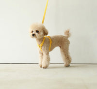 HKM-495891 Stylish Pet Leash - 2M Length in Beige, Lemon Yellow, Mint Green, Lavender Purple, and Pink