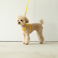 HKM-495891 Stylish Pet Leash - 2M Length in Beige, Lemon Yellow, Mint Green, Lavender Purple, and Pink
