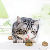 HKM-496275 Mint Catnip Balls for Dental Care and Teeth Cleaning Treats - 30g Pack
