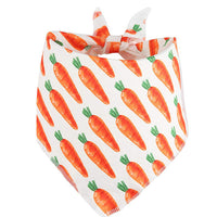 HKM-496787 Easter Pet Party Decor Kit with Carrots, Triangle Towel, and Hair Hoop