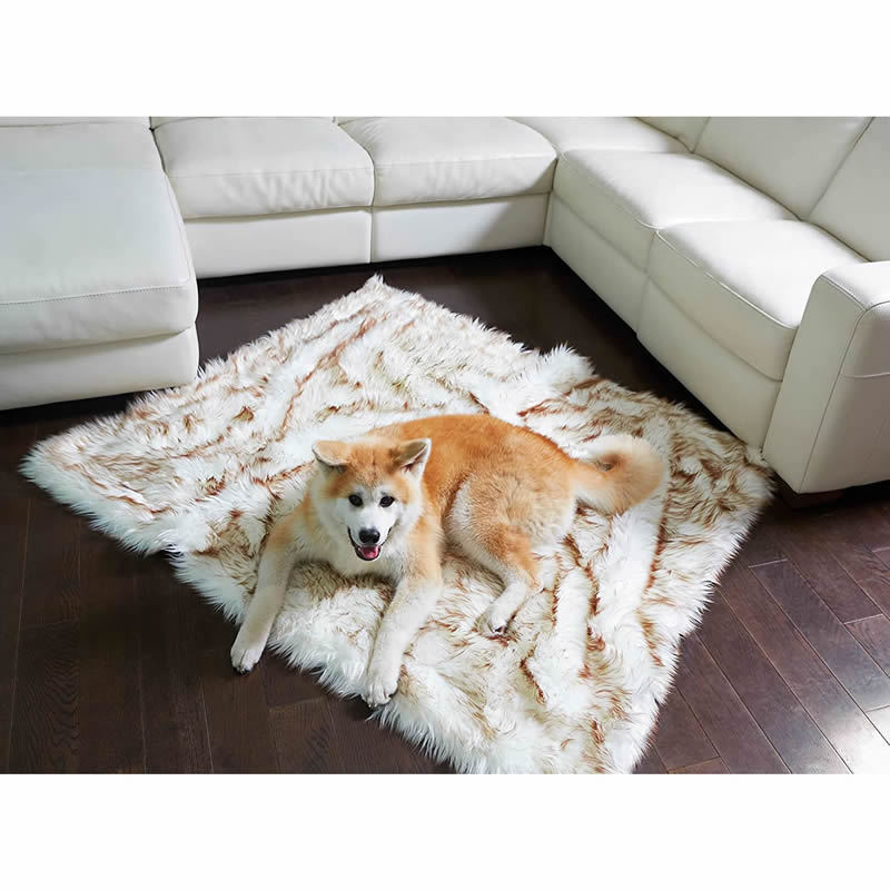 HKM-497363 Machine Washable Waterproof Dog Couch Bed in White with Brown Accents