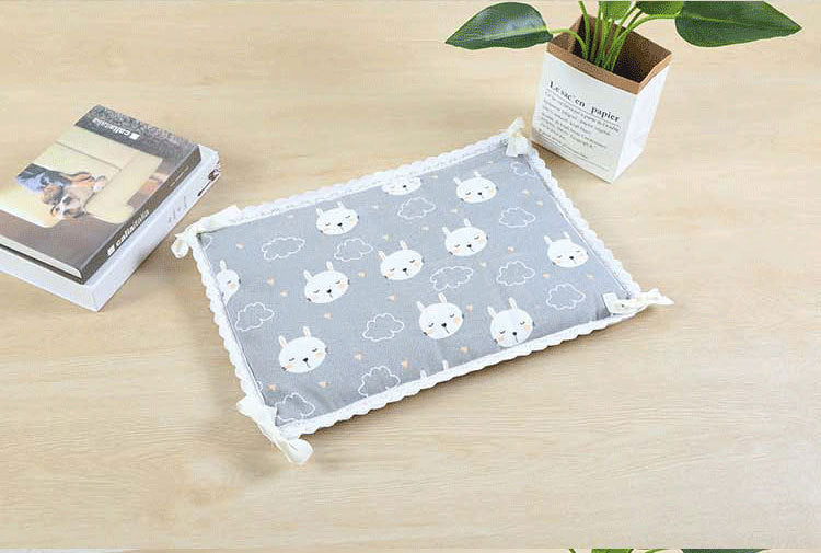 HKM-497619 Summer New Style Positive And Negative Dual-Purpose Mat Pet Mat