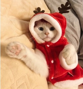 HKM-497875 Christmas Santa Costume for Small Dogs - Festive Flannel Pet Outfit in Red