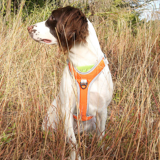 HKM-498579 Adjustable Chest and Back Dog Harness for Outdoor Trekking, Multiple Sizes Available