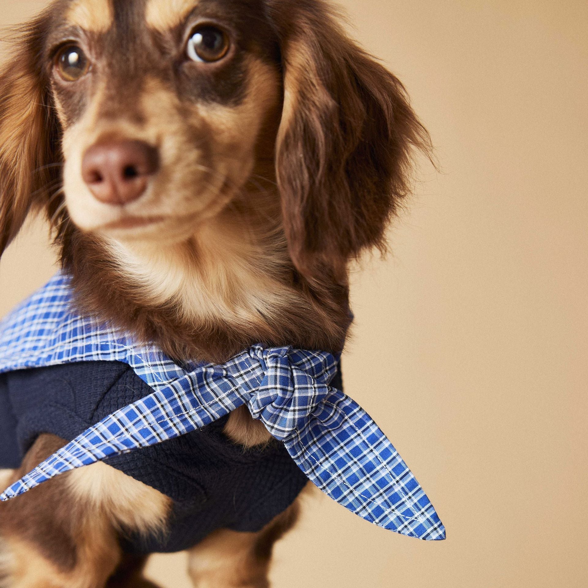 HKM-499795 Sleeveless Sailor Collar Vest for Schnauzer, Bichon, Yorkshire, and Sausage Dogs - Dark Blue & Beige