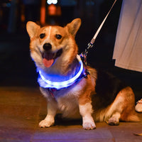 HKM-500243 Luminous USB Rechargeable Silicone Dog Collar and Leash Set for All Seasons