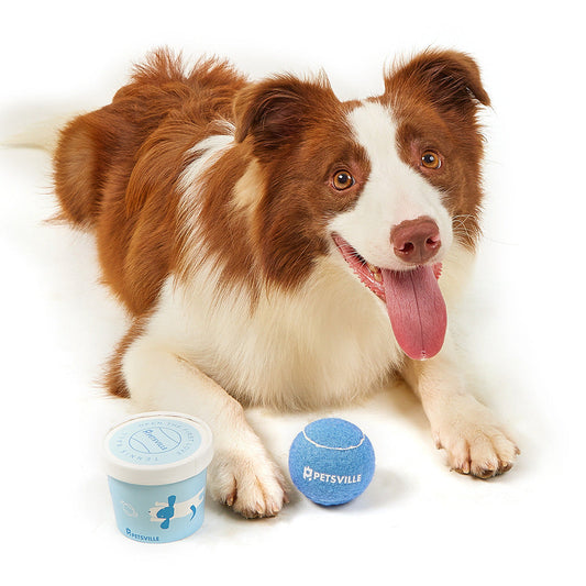 HKM-500563 Interactive Outdoor Tennis Balls for Dogs - Assorted Colors and Sets