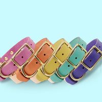 HKM-502547 Adjustable Leather Cat Collar with Customizable Lettering Plate - Multiple Colors Available