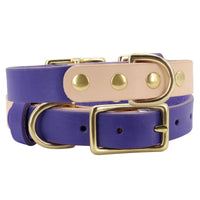 HKM-502547 Adjustable Leather Cat Collar with Customizable Lettering Plate - Multiple Colors Available