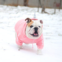 HKM-503443 Cozy Coral Velvet Dog Hoodie for Small to Medium Breeds in Winter-Compatible Design