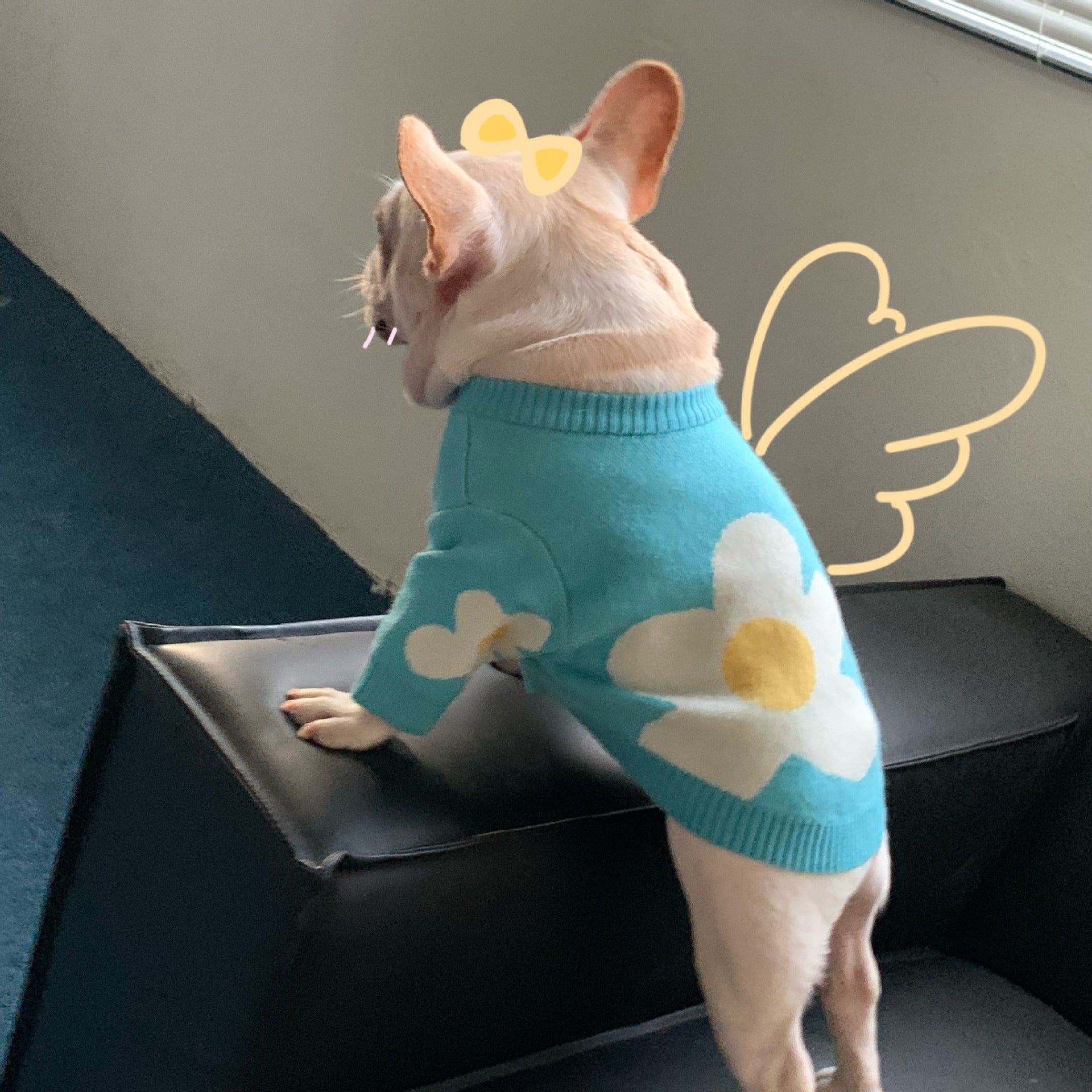 HKM-505235 Sky Blue Wool Sweater for Dogs and Cats - Sizes S to XXL Available