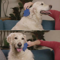 HKM-506067 Gentle Pet Grooming Brush with Silicone Bristles and Shampoo Comb