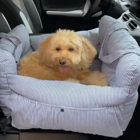 HKM-506515 Car Kennel Pet Co-driving Seat Multi-purpose Outing