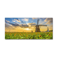 HKM-507667 Customized Non-Slip Landscape Bathroom and Kitchen Carpet - Polyester Fiber, Multiple Sizes