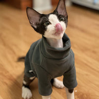 HKM-507795 Self-Heating Hoodie for Hairless Cats - Warm Autumn and Winter Pet Sweater in Black and Green