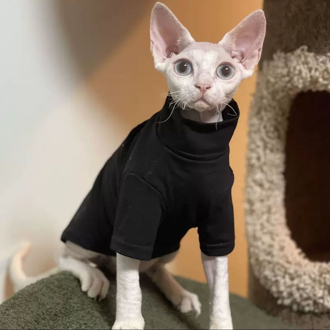 HKM-507795 Self-Heating Hoodie for Hairless Cats - Warm Autumn and Winter Pet Sweater in Black and Green