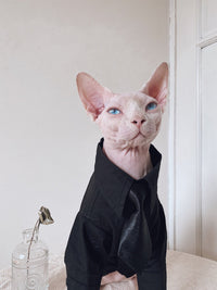 HKM-510099 Sphinx Cat Outfit Set: Camel Plaid Jacket, Vest, & Shirts for Pets