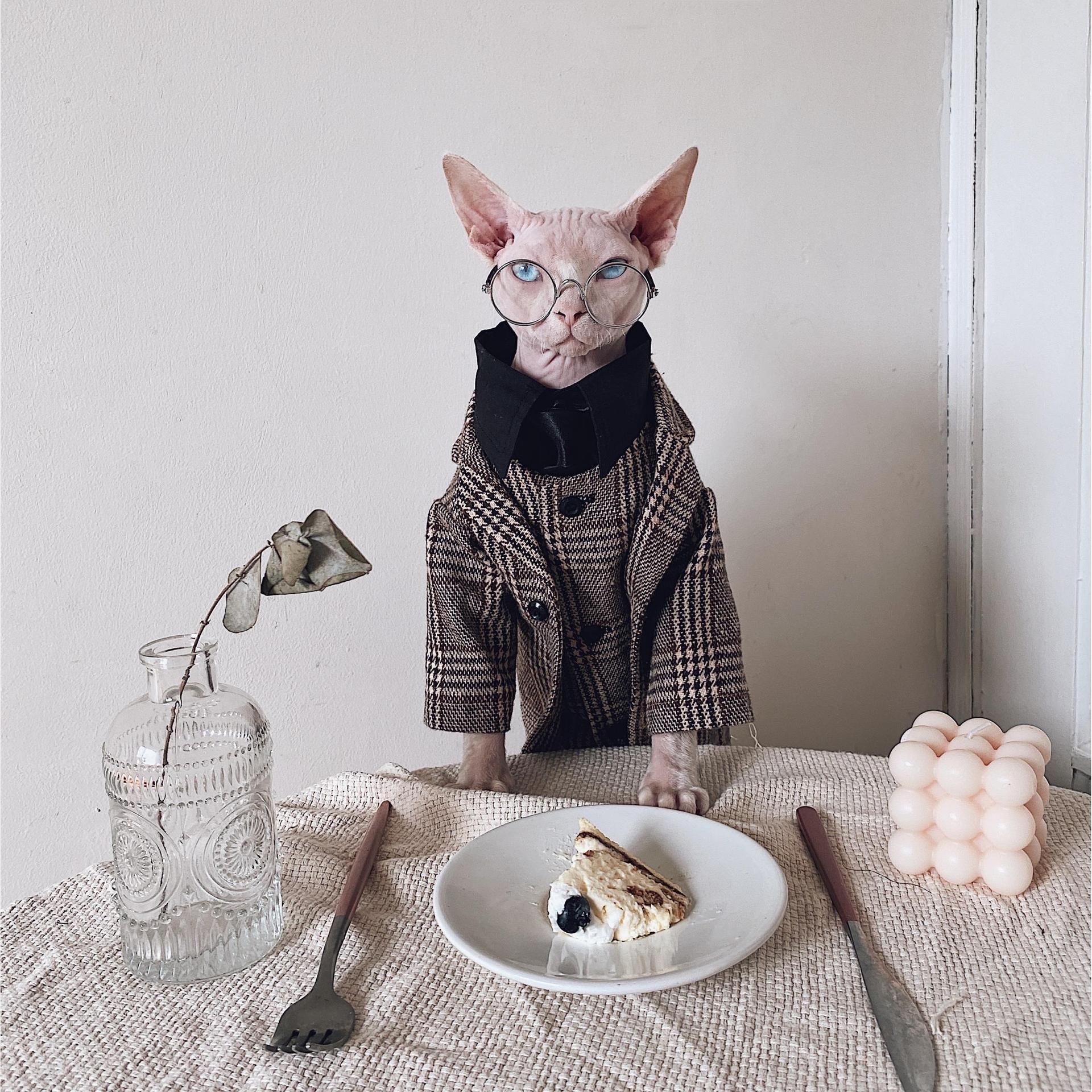 HKM-510099 Sphinx Cat Outfit Set: Camel Plaid Jacket, Vest, & Shirts for Pets