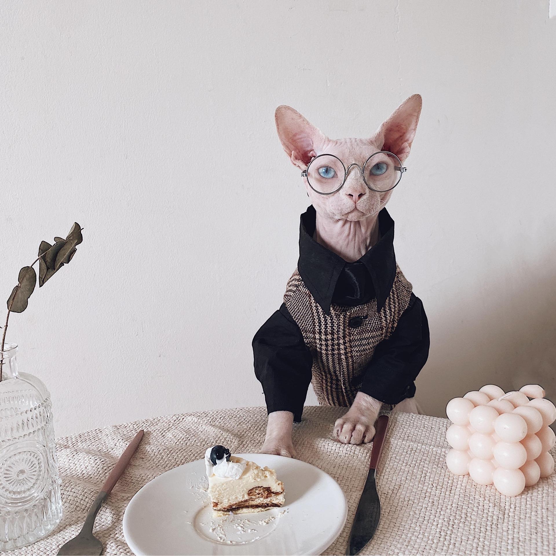 HKM-510099 Sphinx Cat Outfit Set: Camel Plaid Jacket, Vest, & Shirts for Pets