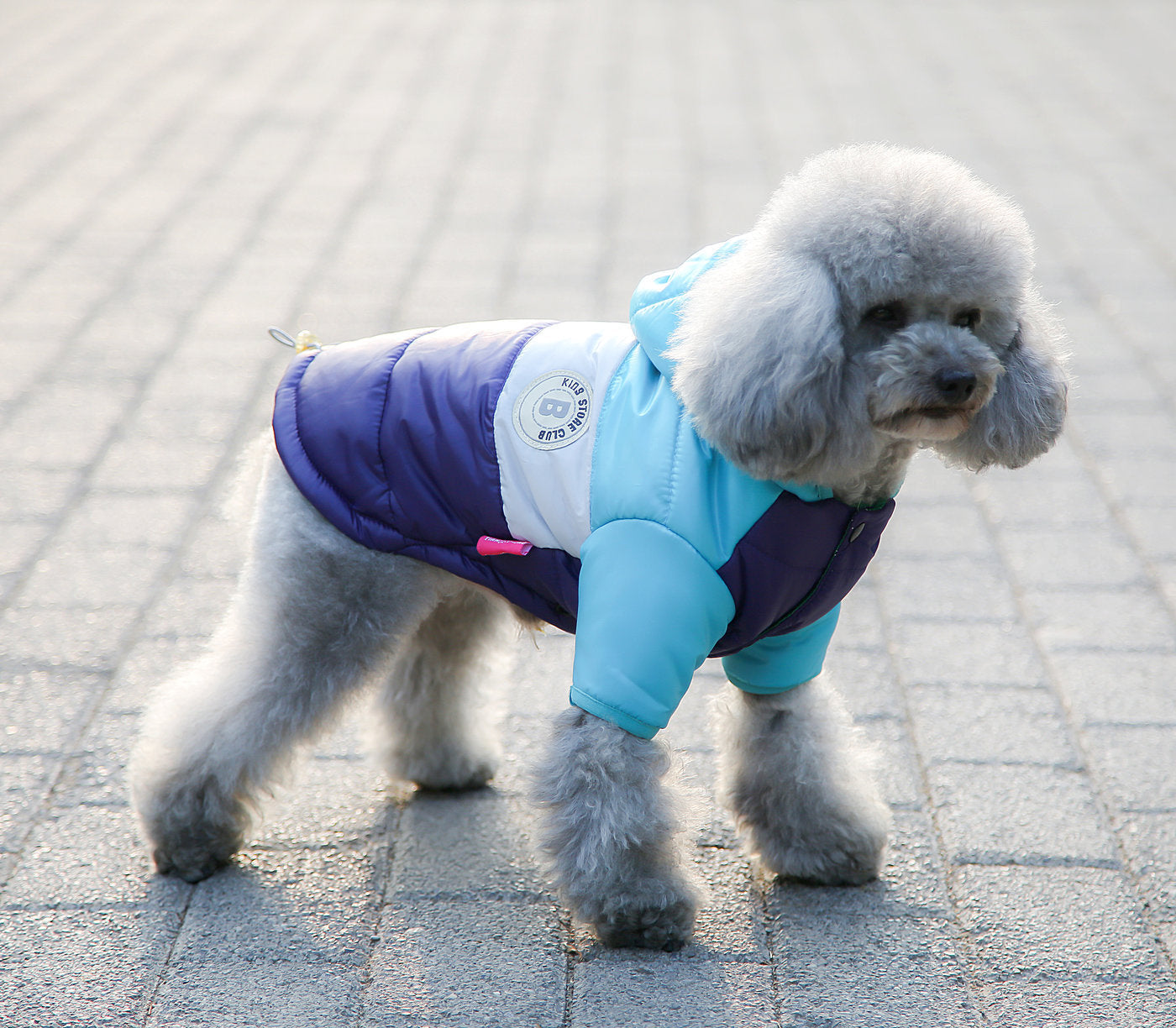 HKM-512211 Two-Legged Cotton-Padded Dog Winter Jacket in Multiple Colors