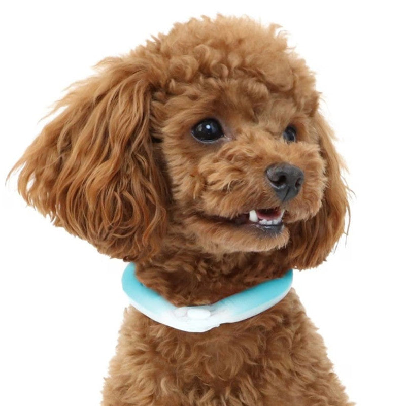 HKM-513747 Pet Cooling Halter with Bio-Based Phase Change Material for Summer Comfort