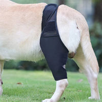 HKM-514195 Dog Leg Injury Support Brace for Front and Rear Legs - Adjustable Fit, Stabilizing Protector for Wounds and Injuries