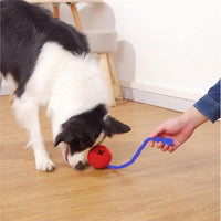 HKM-515219 Durable Interactive Dog Puzzle Toy with Rope for Stress Relief and Crate Training