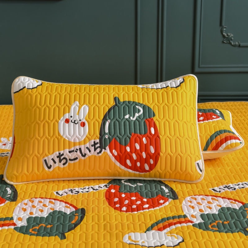 HKM-517651 Fashionable Printed Latex Anti-Mite Pillowcase in Multiple Designs