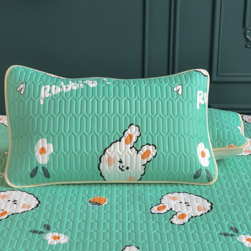 HKM-517651 Fashionable Printed Latex Anti-Mite Pillowcase in Multiple Designs