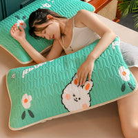 HKM-517651 Fashionable Printed Latex Anti-Mite Pillowcase in Multiple Designs