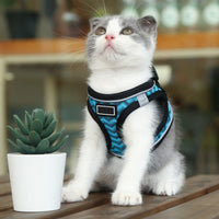 HKM-518675 Reflective Chest Harness for Pets - Wave Pattern Design, Adjustable Sizes S to XL, Durable Polyester Material, Available in Blue and White