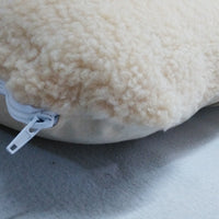 HKM-519443 Removable and Washable Pet Litter Mat in Lamb Wool, Suitable for Small to Medium Pets