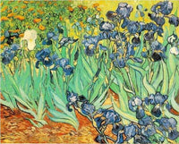 HKM-520787 DIY Digital Oil Painting Kit - Paint By Numbers - Van Gogh Starry Night Over the Rhone - 40x50 cm