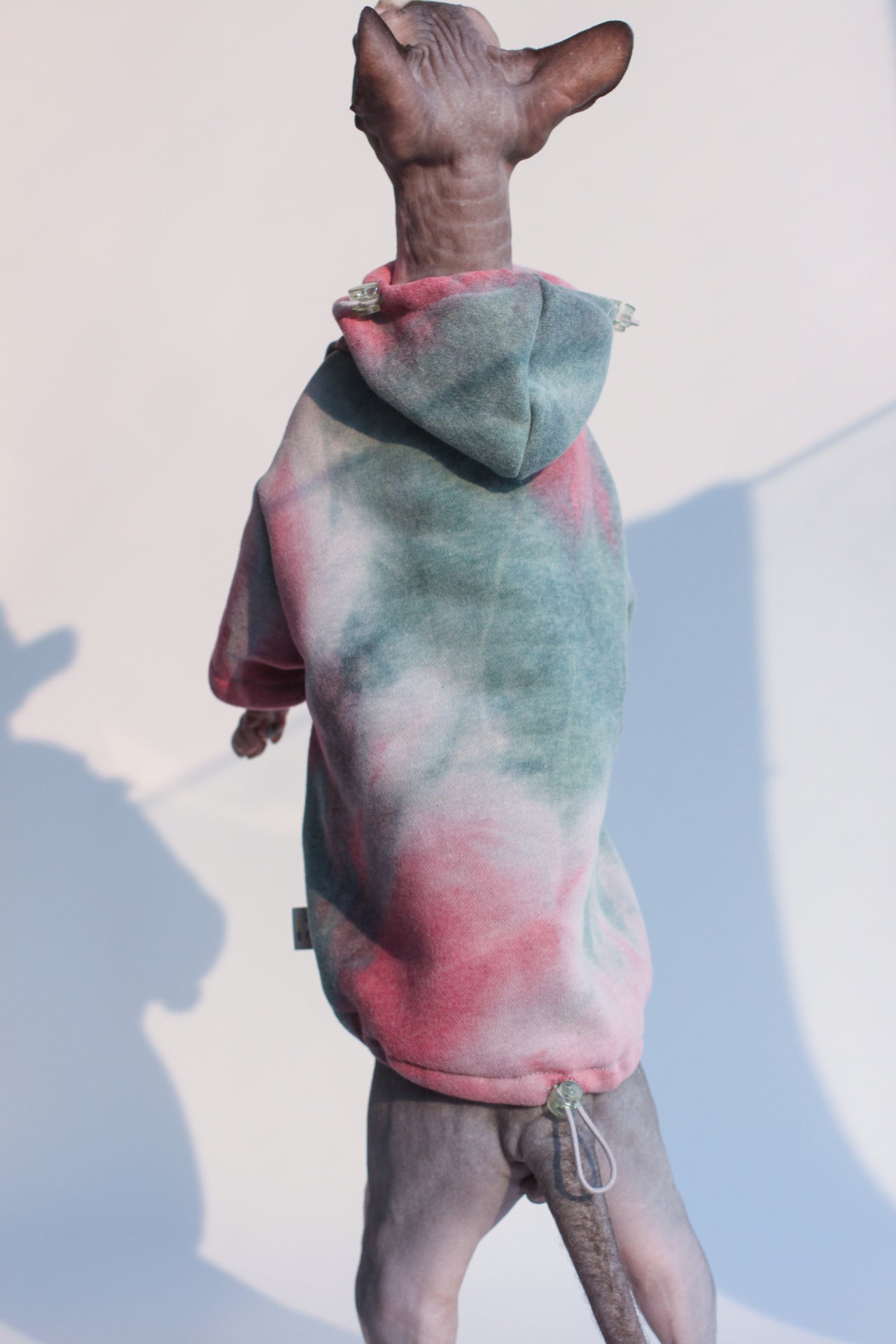 HKM-521363 Velvet Warmth Thick Tie-Dye Hooded Sweater for Cats and Dogs in Autumn and Winter