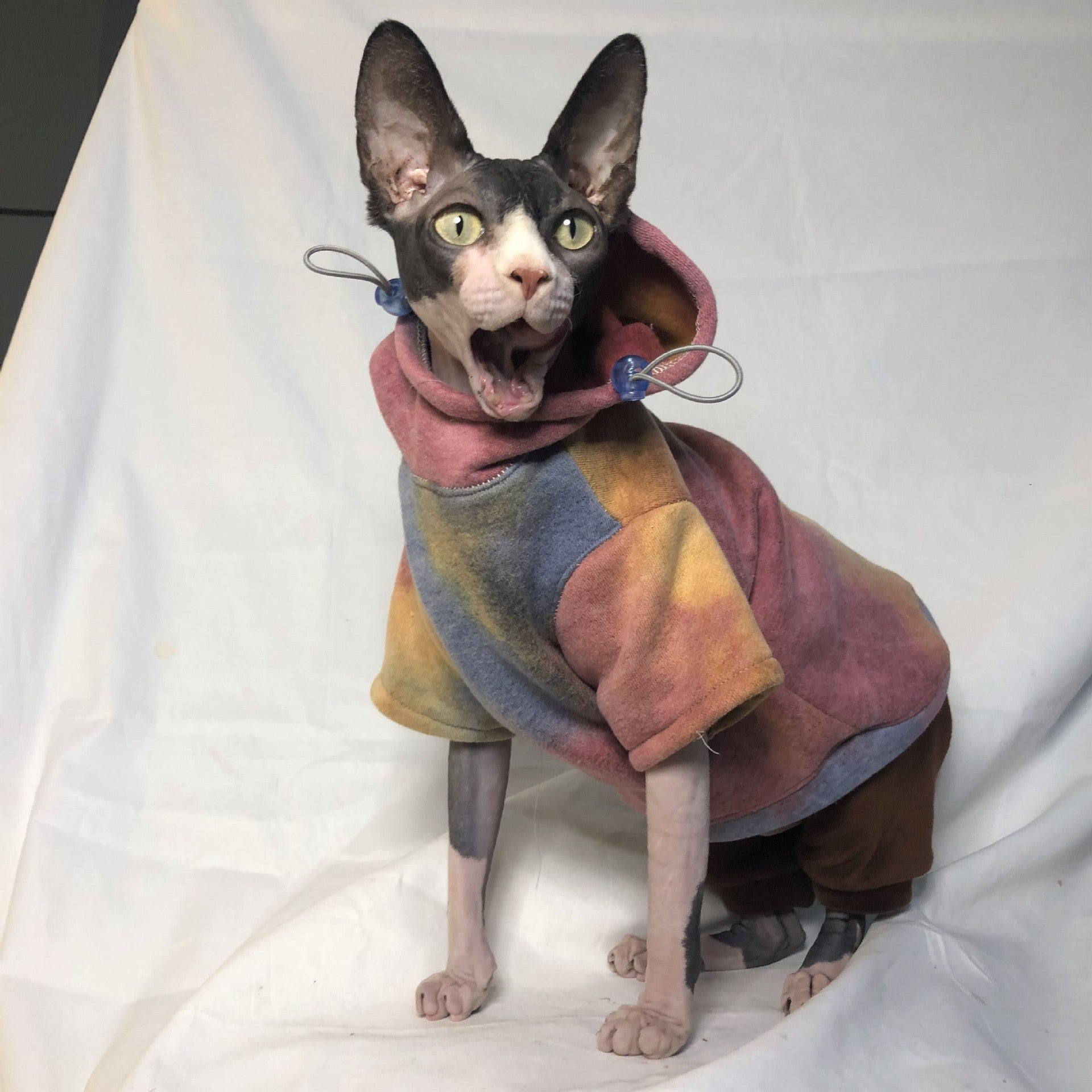 HKM-521363 Velvet Warmth Thick Tie-Dye Hooded Sweater for Cats and Dogs in Autumn and Winter
