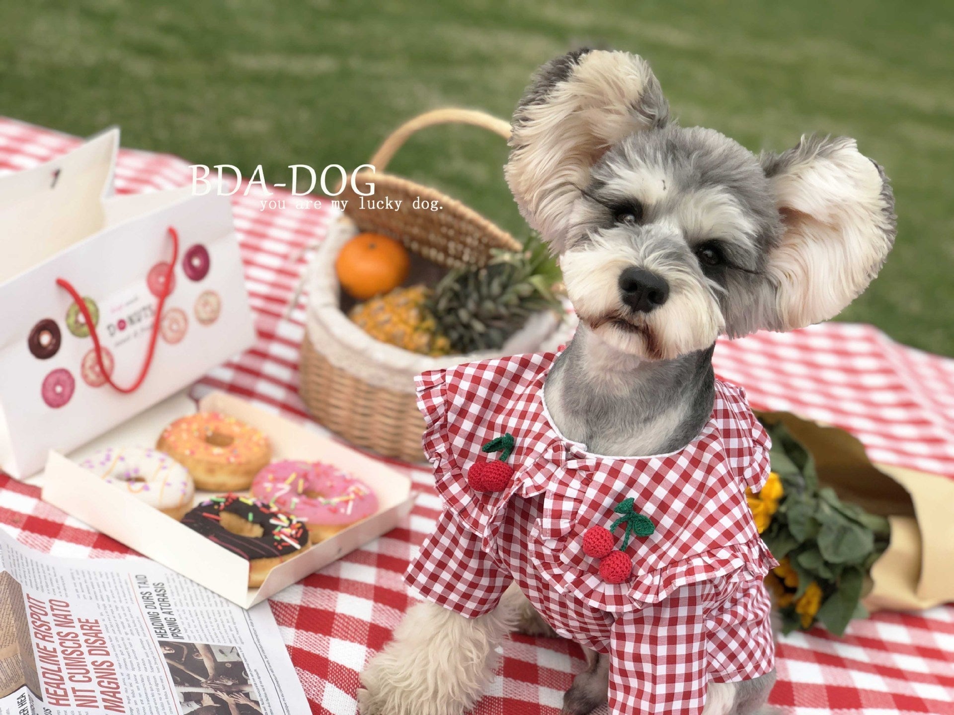 HKM-522579 Lightweight Cotton Checkered Shirt for Small Dogs – Summer Casual Wear