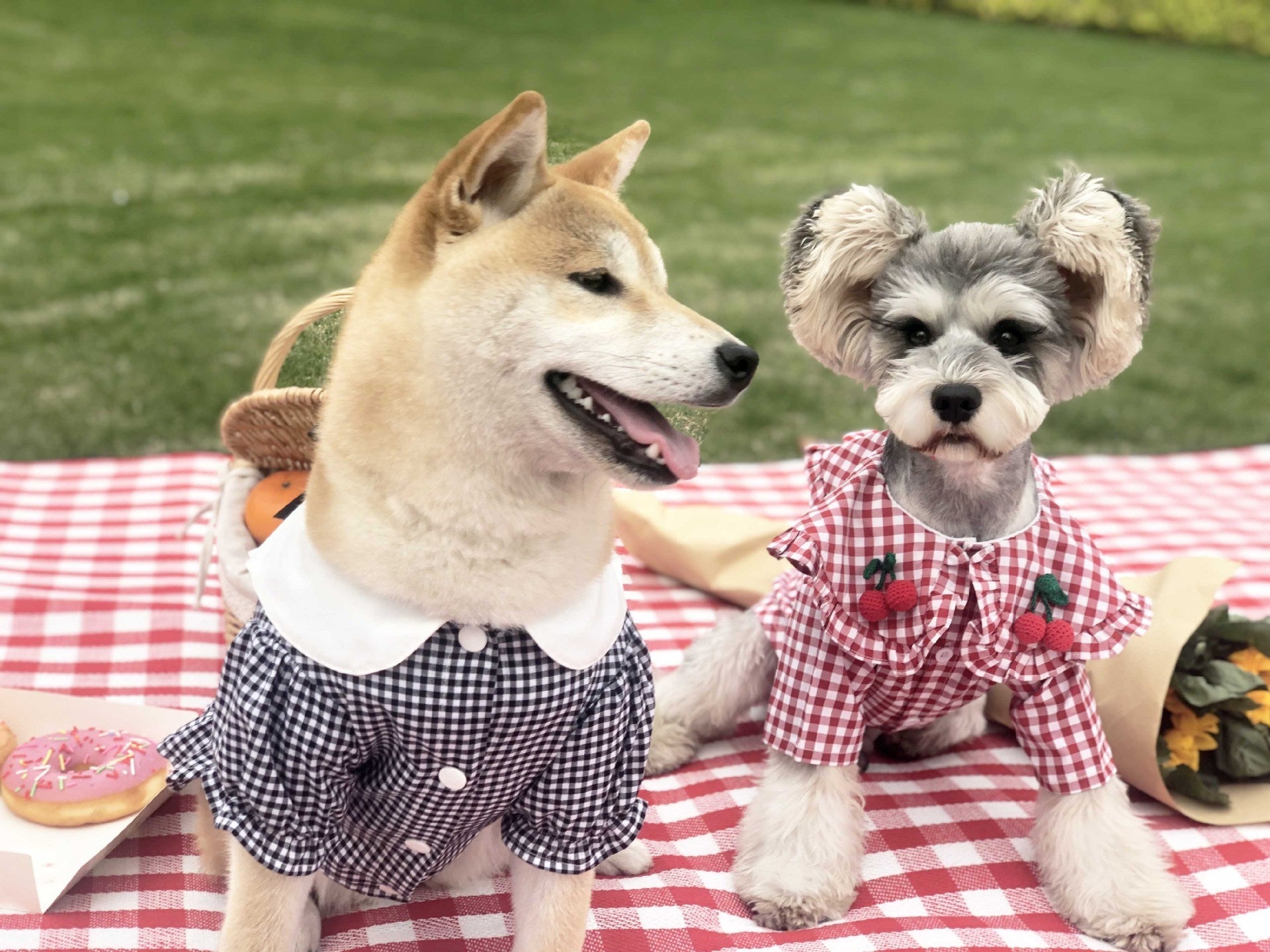 HKM-522579 Lightweight Cotton Checkered Shirt for Small Dogs – Summer Casual Wear