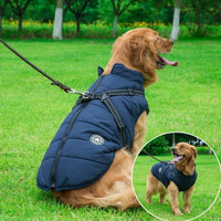 HKM-524115 British Style Halloween Cloak Suit for Dogs - Pet Costume with Hat, Various Sizes Available